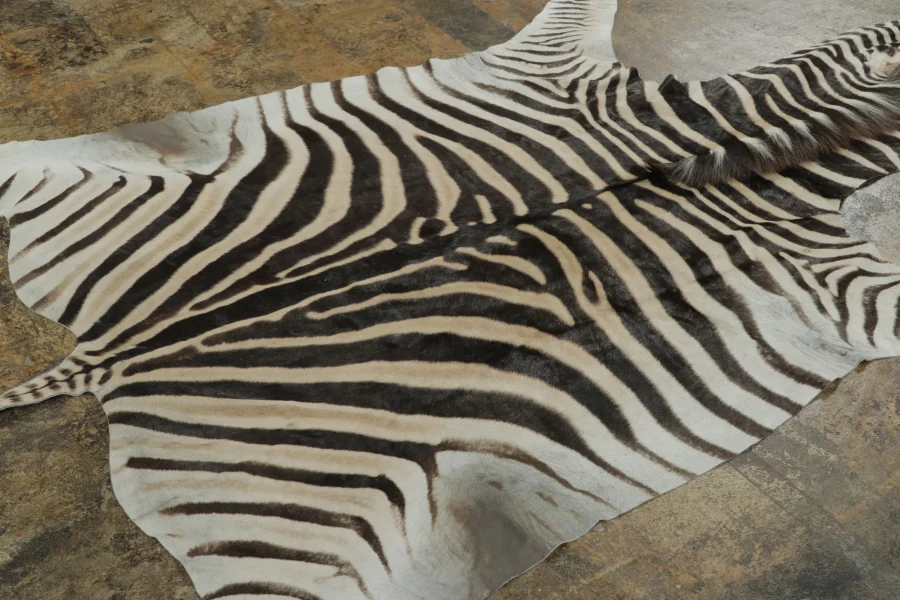 Contemporary Burchell Zebra Hide