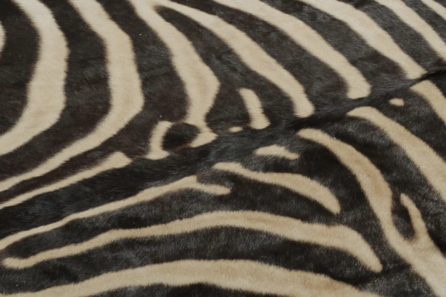Contemporary Burchell Zebra Hide