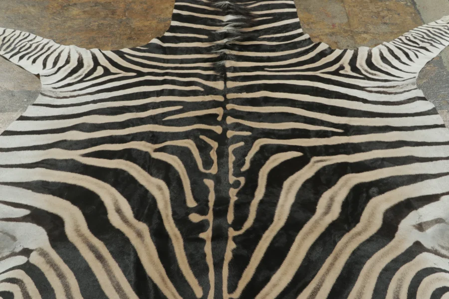 Contemporary Burchell Zebra Hide