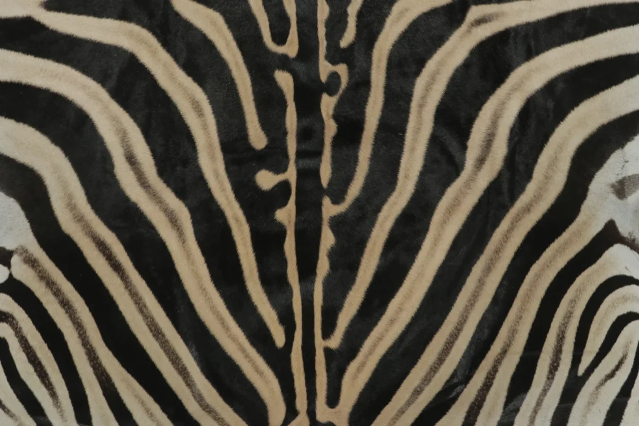 Contemporary Burchell Zebra Hide
