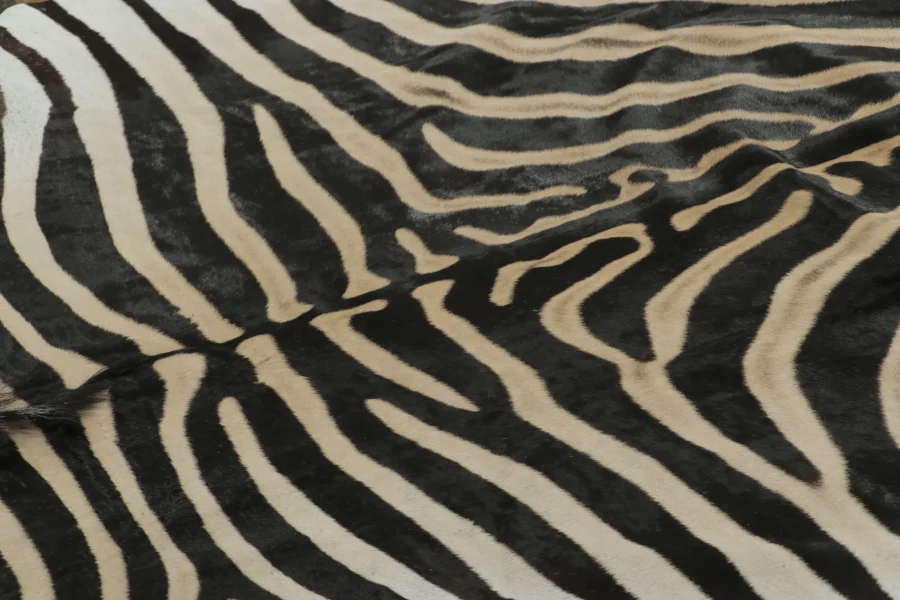 Contemporary Burchell Zebra Hide