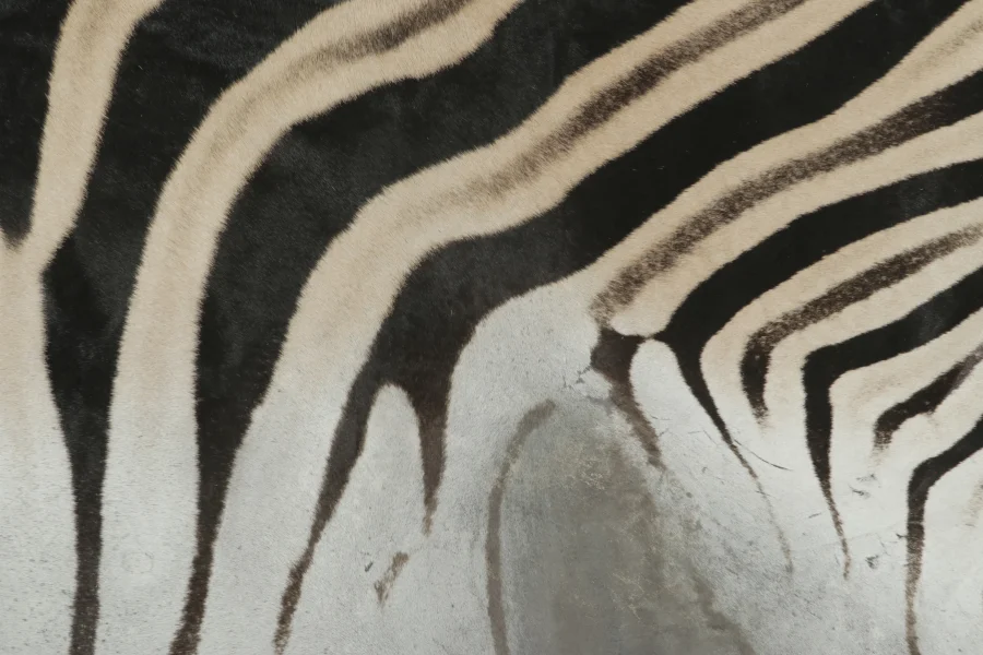 Contemporary Burchell Zebra Hide