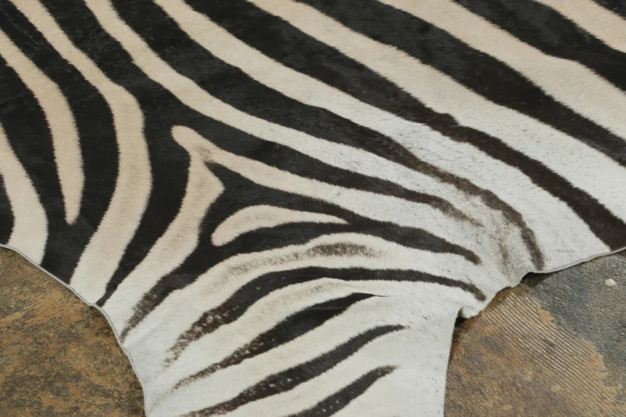 Contemporary Burchell Zebra Hide