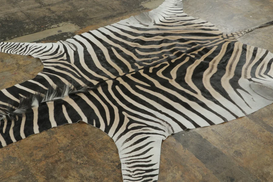 Contemporary Burchell Zebra Hide