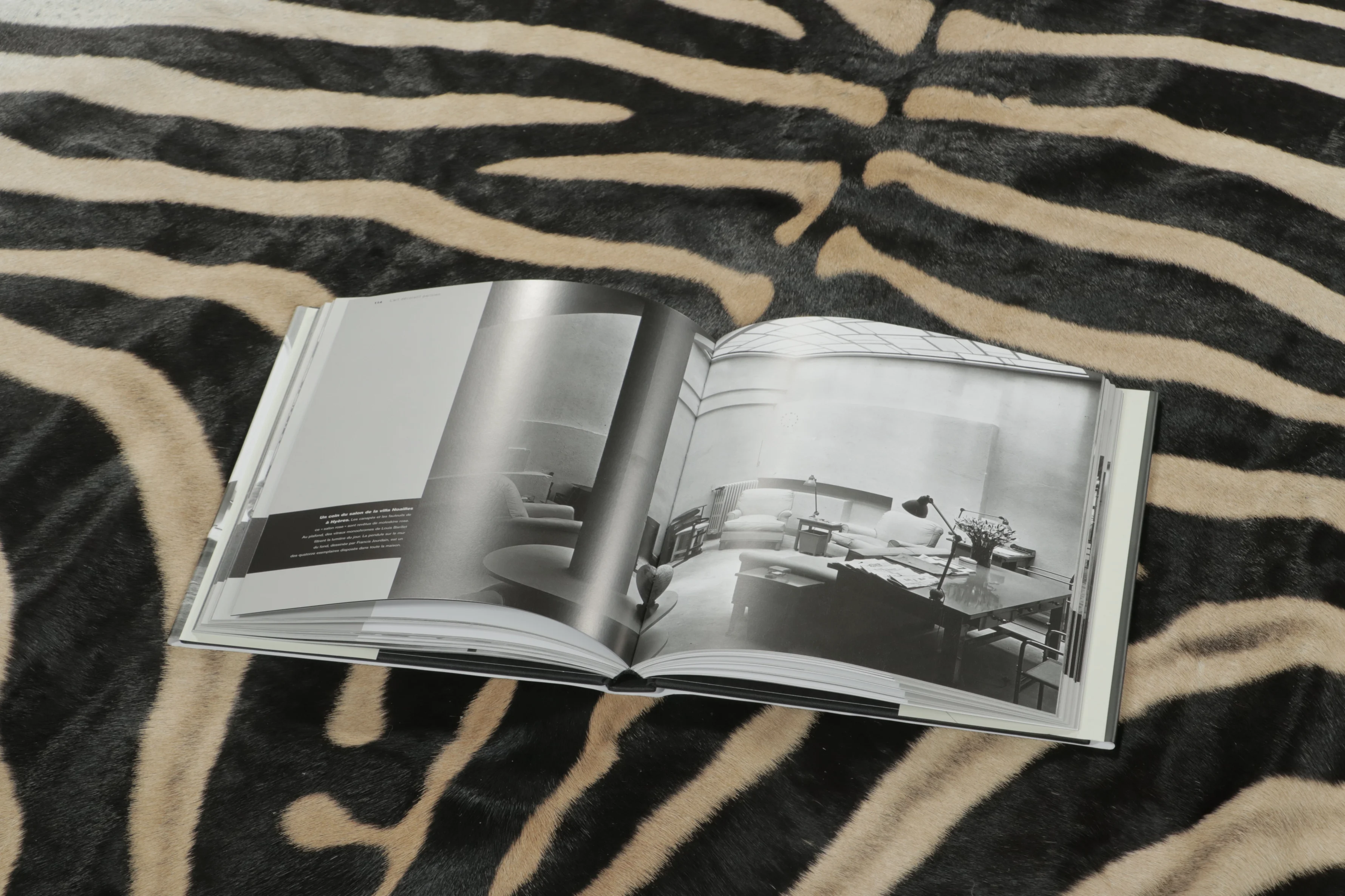 Contemporary Burchell Zebra Hide