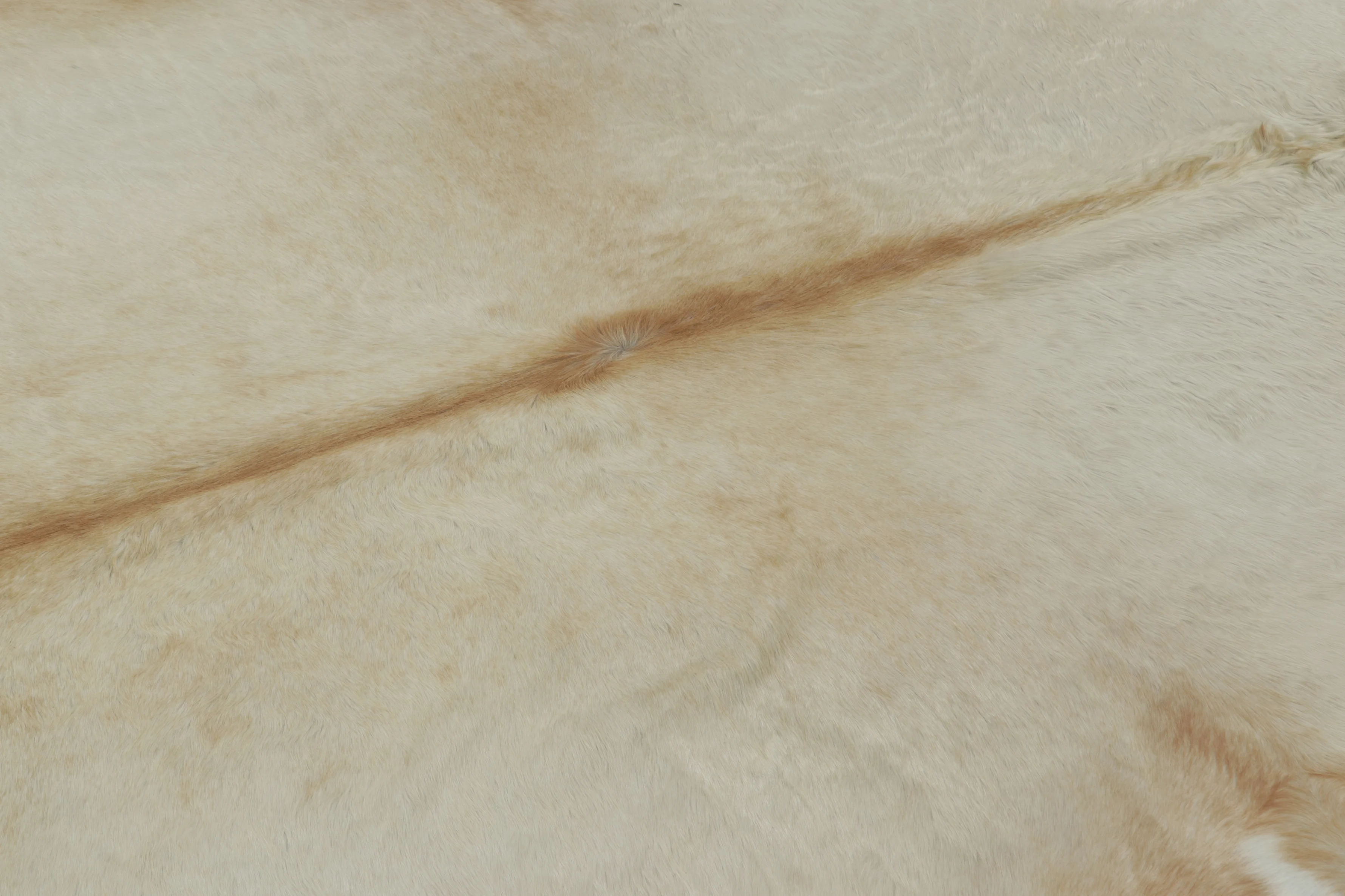 Contemporary Cowhide Rug