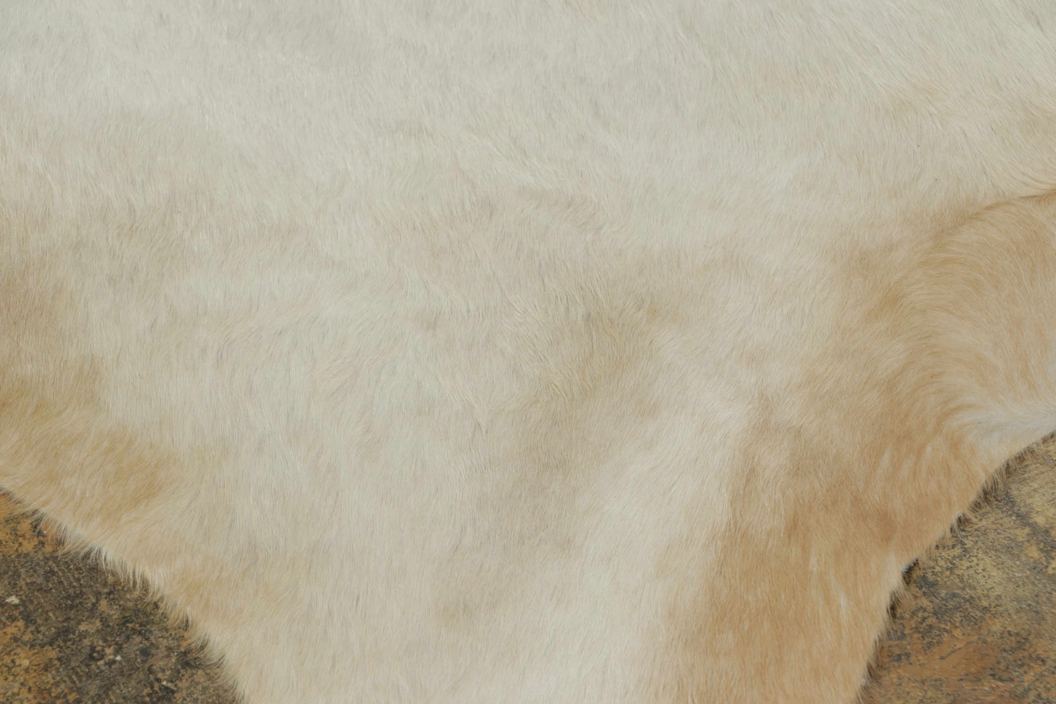 Contemporary Cowhide Rug