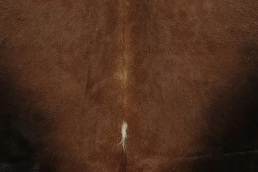 Contemporary Cowhide Rug