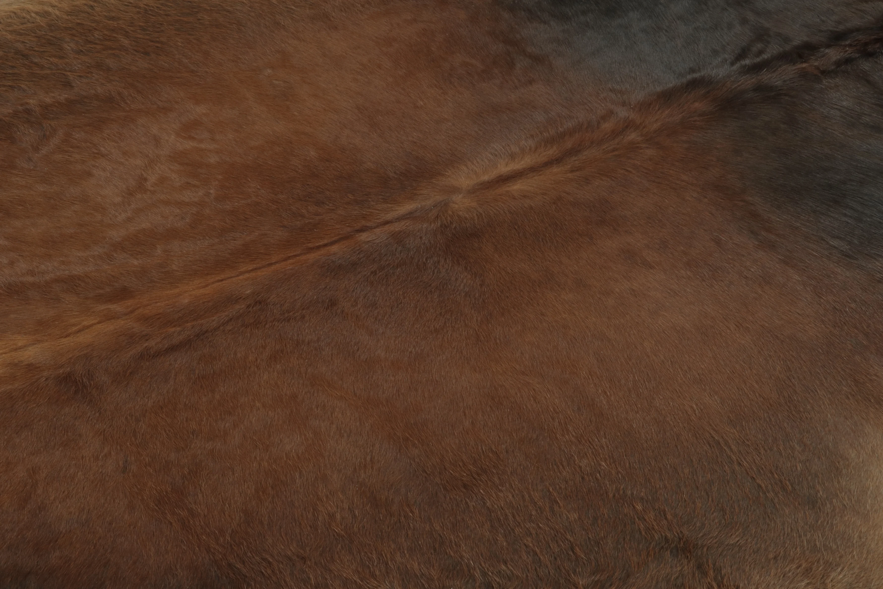 Contemporary Cowhide Rug