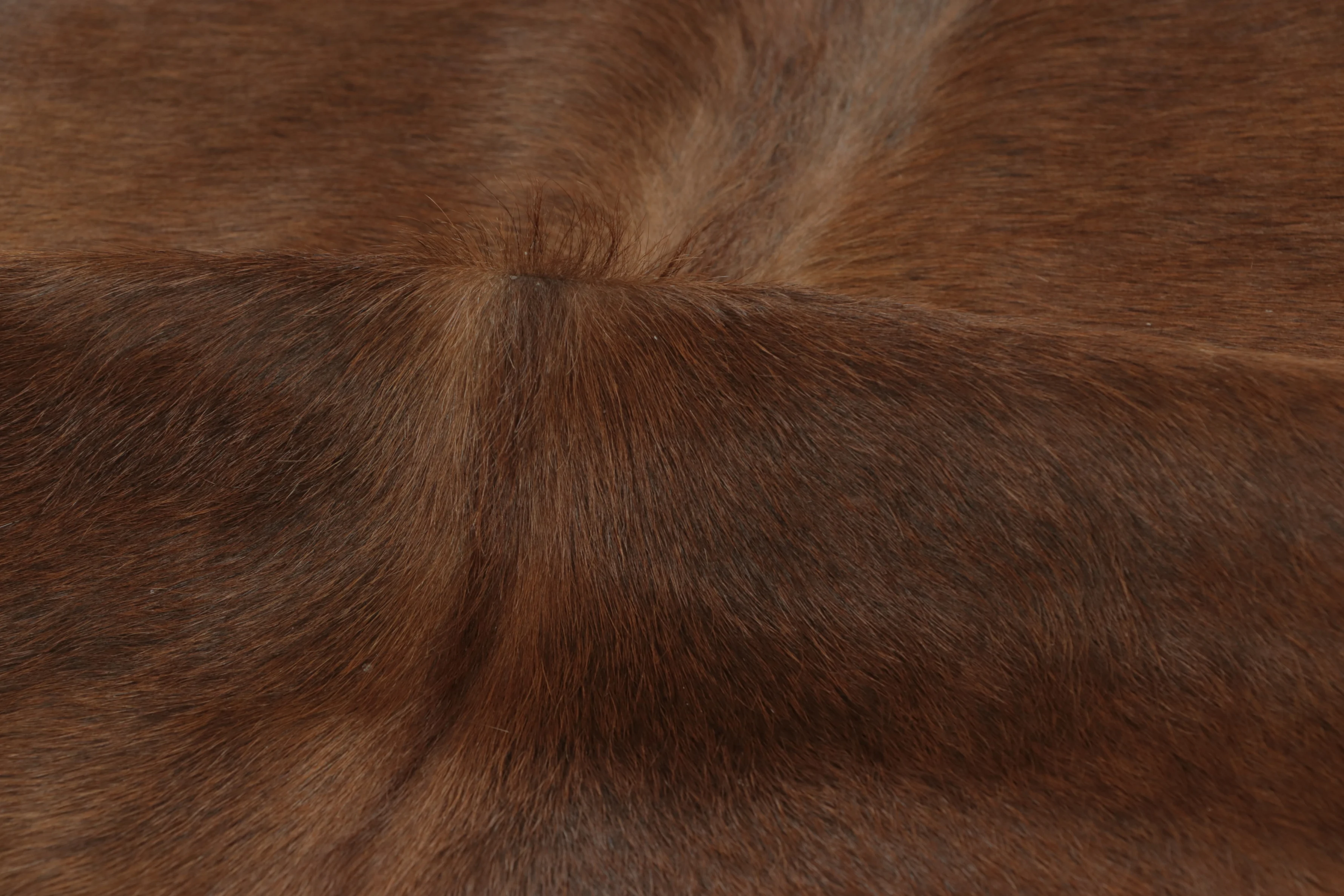Contemporary Cowhide Rug