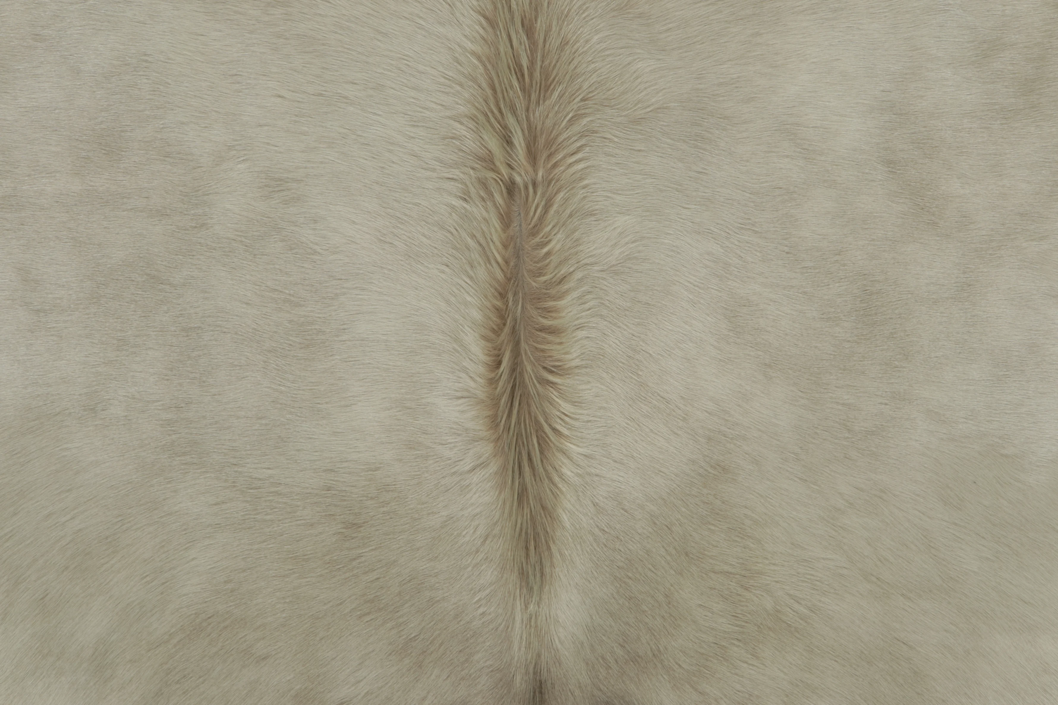 Contemporary Cowhide Rug