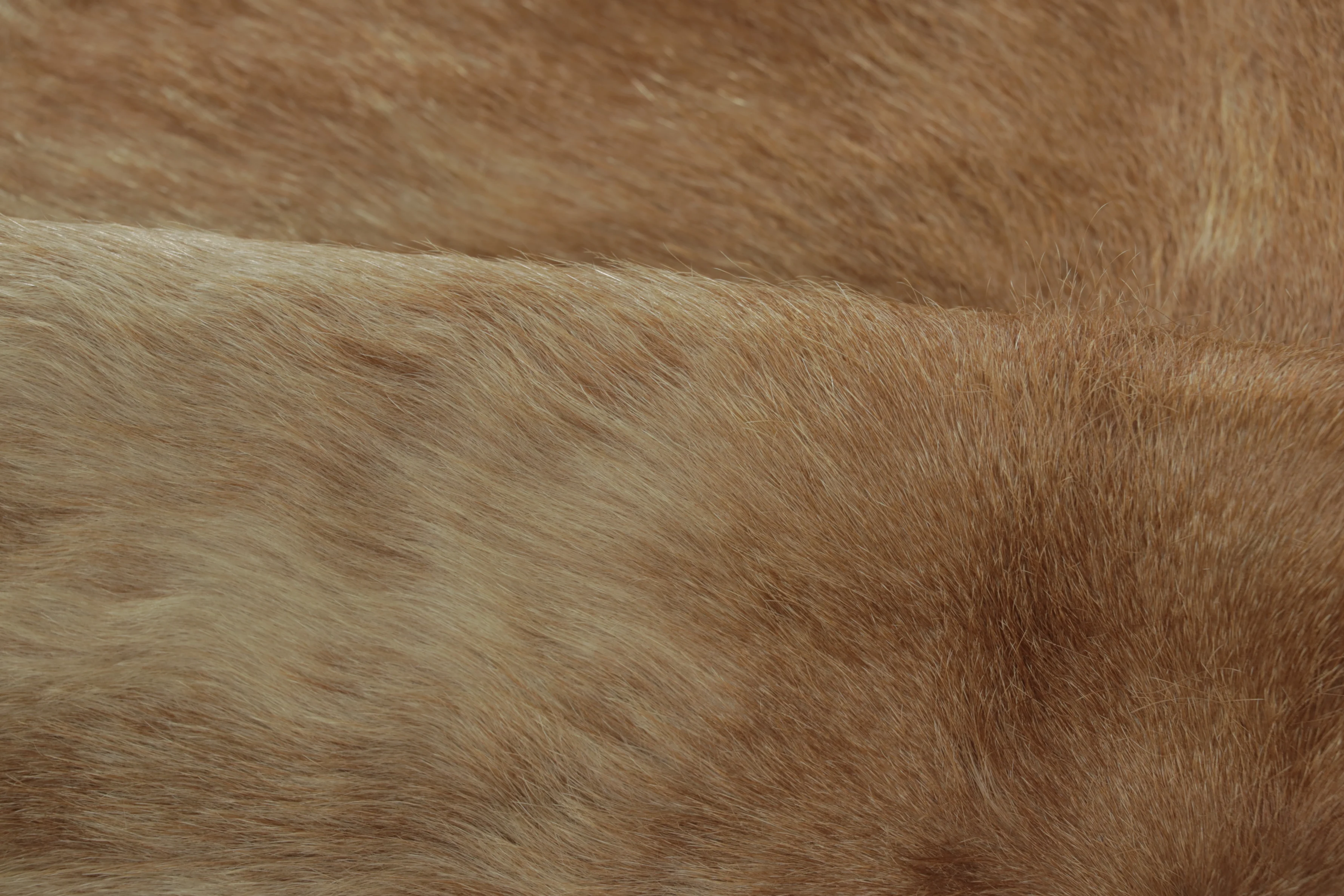 Contemporary Cowhide Rug