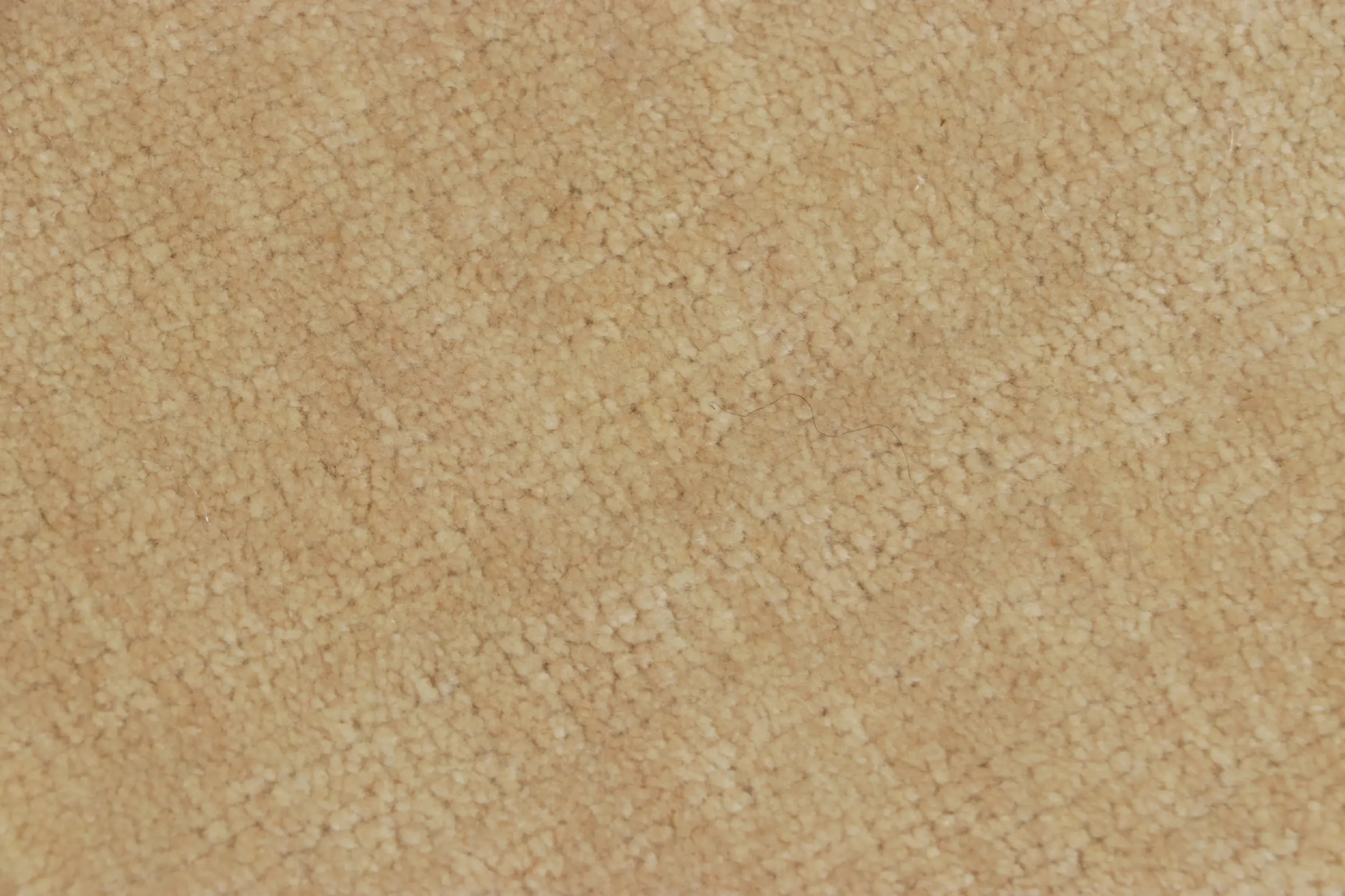Rug & Kilim’s Contemporary Cashmere Custom Rug Sample
