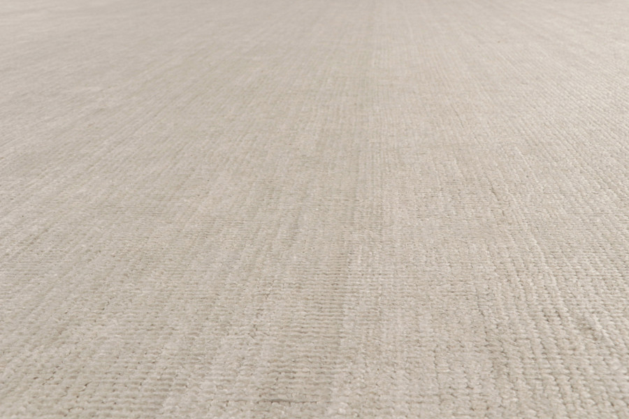 Contemporary Beige Rug