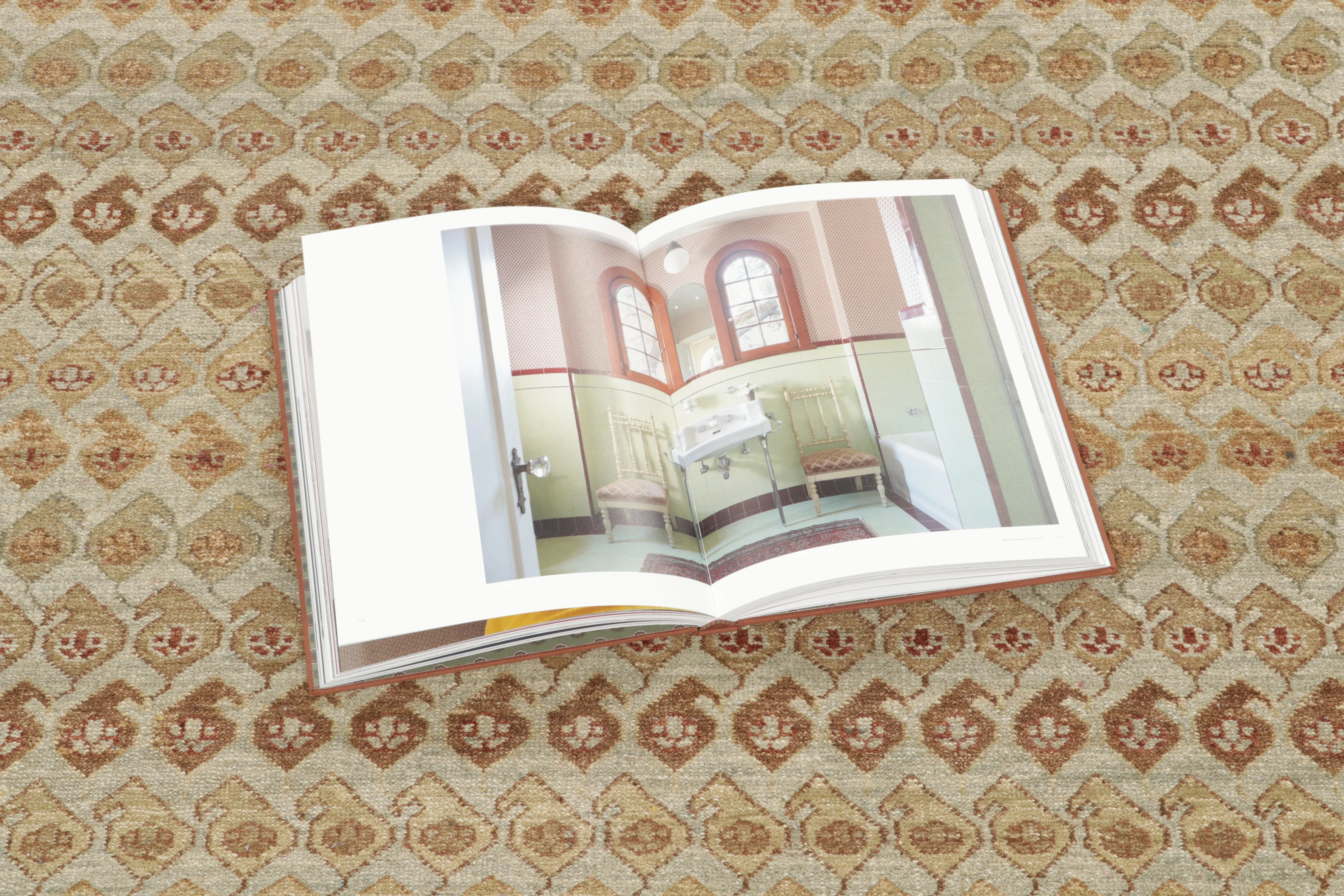 Modern Classics Paisley Rug