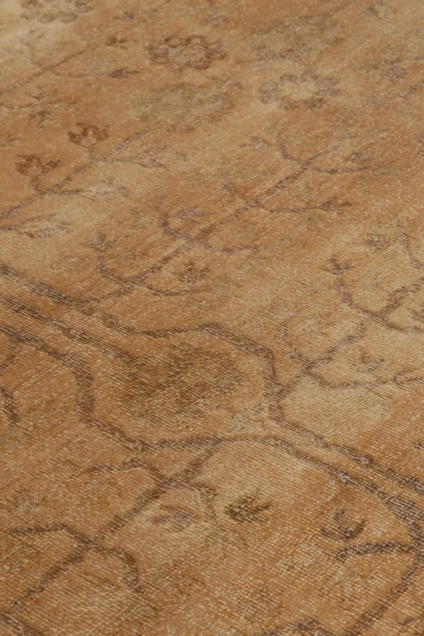 Modern Classics Oriental Rug