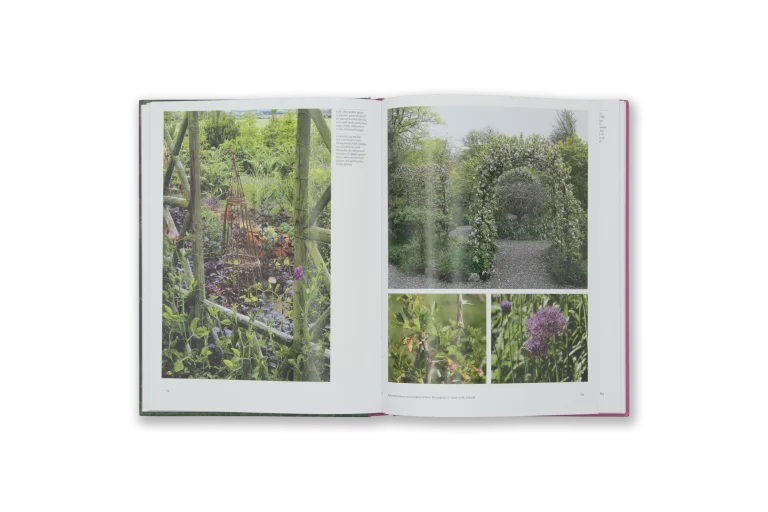 The Kitchen Garden