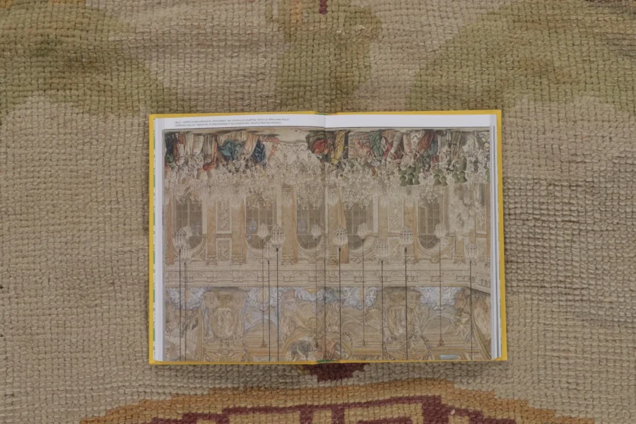 Antique Aubusson Medallion Rug
