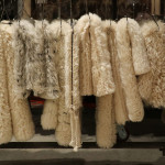 Rug & Kilim Showroom