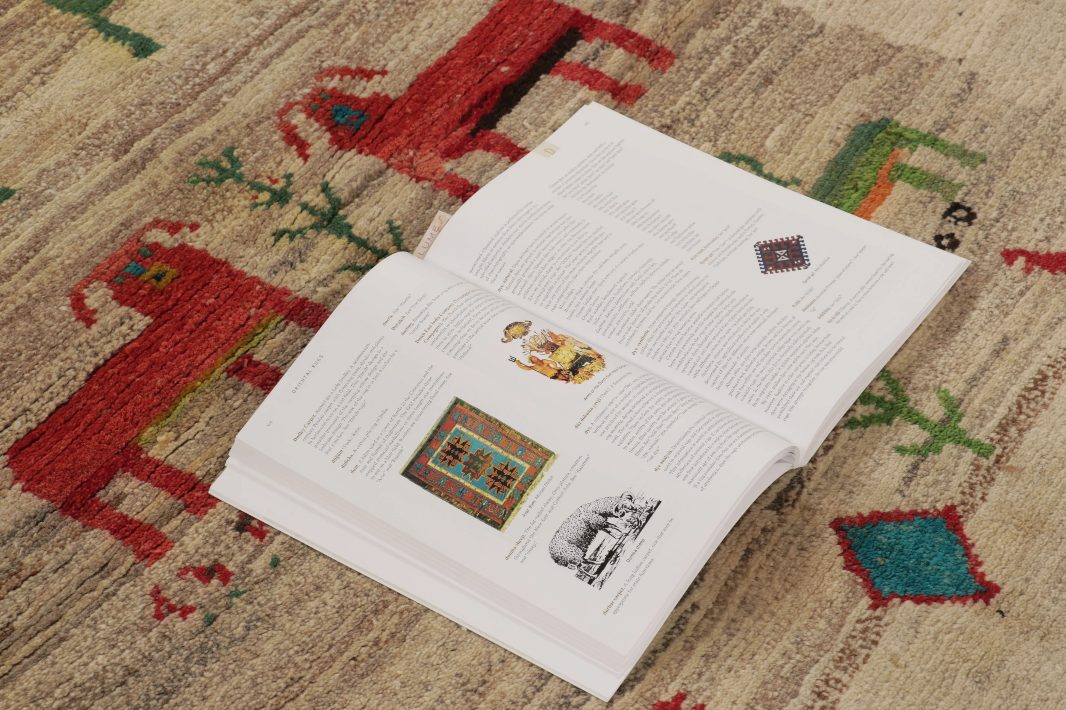 Vintage Gabbeh Pictorial Rug